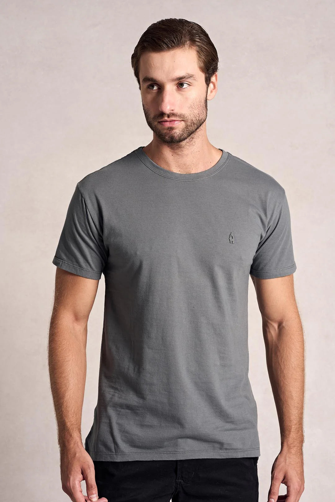 Polo Desktop (Buy 1, Get 2)